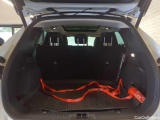  Ford  Kuga 1.5 EcoBlue Aut. TITANIUM X Automatic Diesel  52 #5