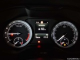  Skoda  Kodiaq 2.0 TDI 4x4 DSG Ambition Automatic Diesel  101 #8