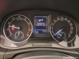  Skoda  Fabia Ambition 1.0TSi 95pk/cv 5p DSG7 Automatic Petrol  19 #19