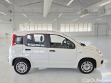  Fiat  Panda FIAT  / 2012 / 5P / BERLINA 1.2 69 CV VAN EURO6D 4 POSTI EASY #7