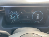  Hyundai  Tucson Tucs.1.6T-GDI 132 Smart 4x4 AT #21