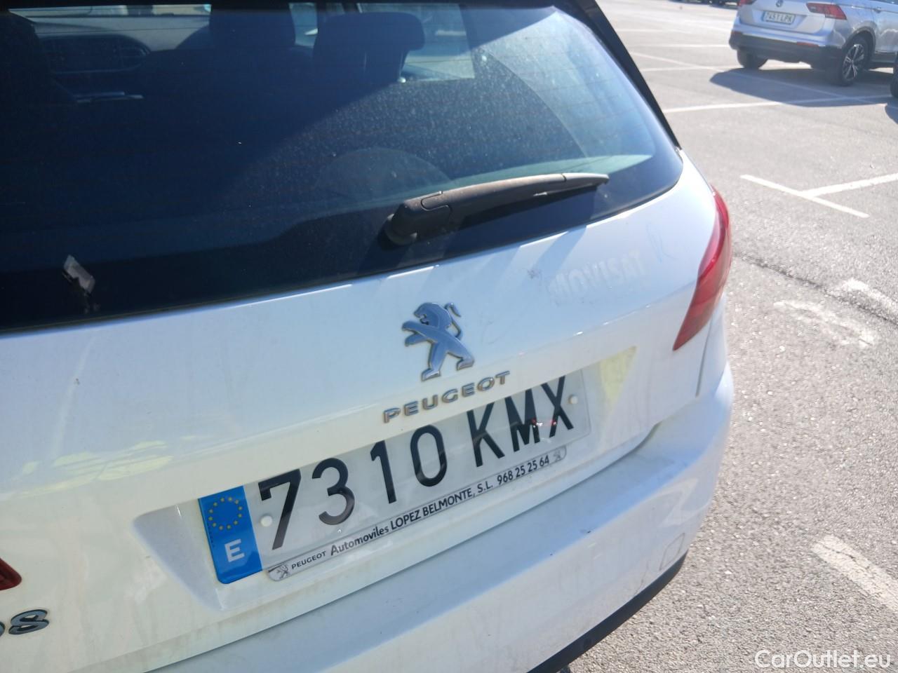  Peugeot  308  Active 1.6 HDi 100CV MT5 E6 #23