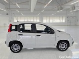  Fiat  Panda FIAT  / 2011 / 5P / BERLINA 1.0 70CV SeS HYBRID #7