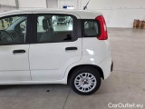  Fiat  Panda FIAT  / 2011 / 5P / BERLINA 1.2 69CV E6 EASY #39