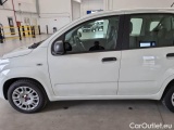  Fiat  Panda FIAT  / 2011 / 5P / BERLINA 1.2 69CV E6 EASY #43