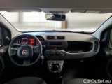  Fiat  Panda FIAT  / 2011 / 5P / BERLINA 1.0 FIREFLY 70CV SeS HYBRID #3