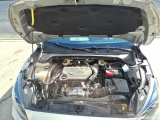  Ford  Focus 1.5 EcoBlue Start-Stopp-System Aut. ACTIVE Automatic Diesel  18 #21