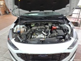  Ford  Focus Turnier 1.5 EcoBlue Start-Stopp-System Aut. TITANIUM Automatic Diesel  47 #19