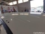  Fiat  Doblo FIAT DOBLÒ CARGO / 2014 / 4P / VETT. FURGONATA MAXI LH1 BUSINESS 1.6 MJET 105CV E6D SeS #122