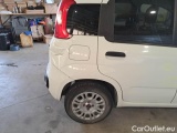  Fiat  Panda FIAT  / 2012 / 5P / BERLINA 1.0 70CV HYBRID EURO 6D VAN 4 P. EASY #63