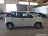  Fiat  Panda FIAT  / 2012 / 5P / BERLINA 1.0 70CV HYBRID EURO 6D VAN 4 P. EASY #7