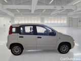  Fiat  Panda FIAT  / 2011 / 5P / BERLINA 1.2 69CV E6 EASY #7