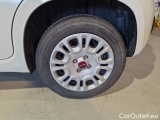  Fiat  Panda FIAT  / 2011 / 5P / BERLINA 1.2 69CV E6 EASY #19