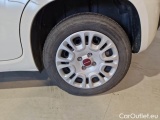  Fiat  Panda FIAT  / 2011 / 5P / BERLINA 1.2 69CV E6 EASY #35