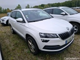  Skoda  Karoq  Business 2.0 TDI 115CV BVA7 E6d #4