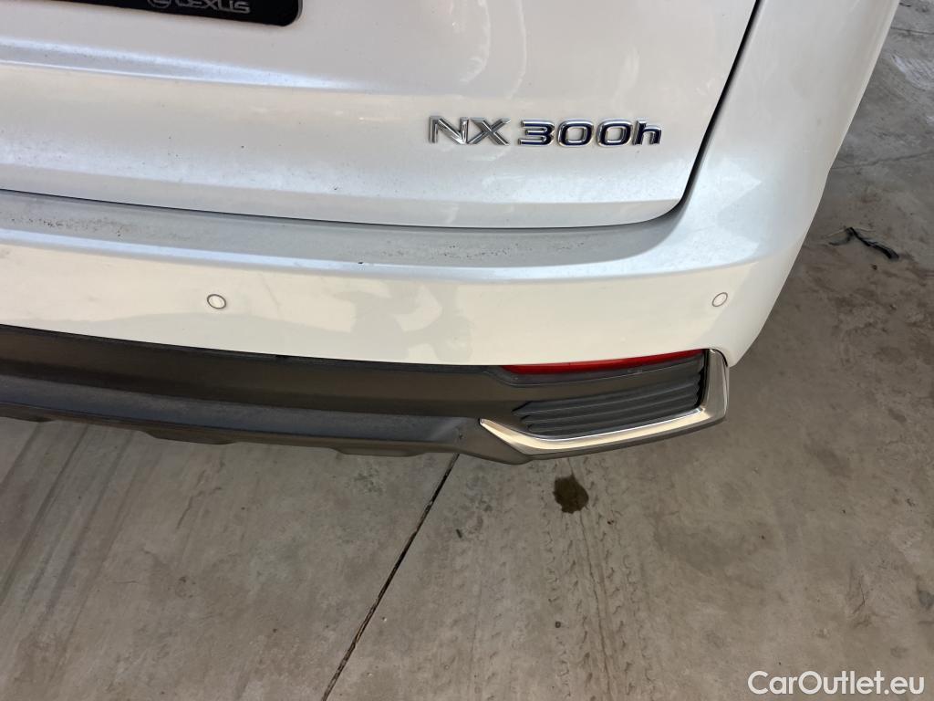  Lexus  NX LEXUS  / 2017 / 5P / todoterreno 2.5 300h Premium 2WD #19