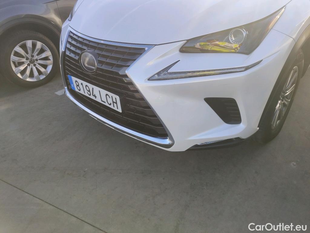 Lexus  NX LEXUS  / 2017 / 5P / todoterreno 2.5 300h Business Navigation 2WD (CX) #7