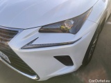  Lexus  NX LEXUS  / 2017 / 5P / todoterreno 2.5 300h Business Navigation 2WD (CX) #15