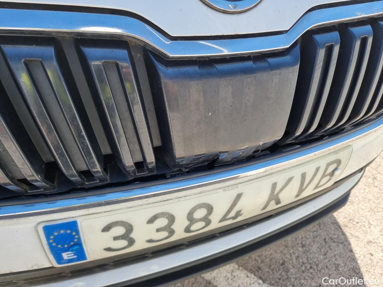  Skoda  Karoq  Ambition 4x4 2.0 TDI 150CV AT7 E6dT #14