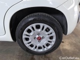 Fiat  Panda FIAT  / 2011 / 5P / BERLINA 1.0 FIREFLY 70CV SeS HYBRID #61