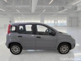  Fiat  Panda FIAT  / 2011 / 5P / BERLINA 1.2 69CV SeS E6D-TEMP EASY #7