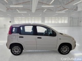  Fiat  Panda FIAT  / 2011 / 5P / BERLINA 1.2 69CV E6 EASY #7