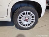  Fiat  Panda FIAT  / 2011 / 5P / BERLINA 1.2 69CV E6 EASY #19