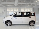  Fiat  Panda FIAT  / 2011 / 5P / BERLINA 1.2 69CV E6 EASY #8