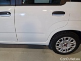  Fiat  Panda FIAT  / 2011 / 5P / BERLINA 1.2 69CV E6 EASY #40