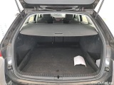  Skoda  Octavia  Break Business 2.0 TDI 150CV BVA7 E6d #10