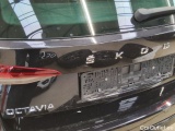 Skoda  Octavia  Combi First Edition 2.0 TDI 110KW AT7 E6dT #58