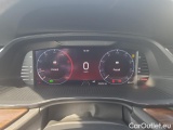  Skoda  Octavia  Combi (NX3)(2020) Oct.C.2.0TDI 110 4x4 Scout AT #18