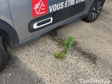  Citroen  C3 1.2 PURETECH 110 S&S SHINE BUSINESS #16