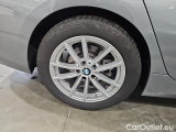  Bmw  Serie 3 320d xDrive Touring Automatic #10