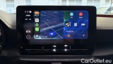  Cupra  Formentor 2.0 TDI 4Drive DSG #14