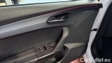  Cupra  Formentor 2.0 TDI 4Drive DSG #20