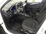  Ford  Kuga  Titanium 2.0 EcoBlue 110KW AT8 E6d #4