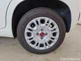  Fiat  Panda FIAT  / 2011 / 5P / BERLINA 1.0 FIREFLY 70CV SeS HYBRID #19