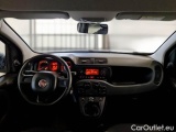  Fiat  Panda FIAT  / 2011 / 5P / BERLINA 1.2 69CV E6 EASY #3