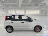  Fiat  Panda FIAT  / 2011 / 5P / BERLINA 1.2 69CV E6 EASY #7