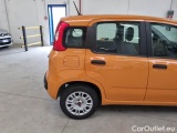  Fiat  Panda FIAT  / 2011 / 5P / BERLINA 1.2 69CV E6D-TEMP EASY #32
