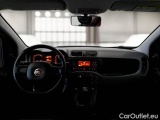  Fiat  Panda FIAT  / 2011 / 5P / BERLINA 1.2 69CV E6 EASY #3