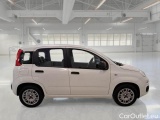  Fiat  Panda FIAT  / 2011 / 5P / BERLINA 1.2 69CV E6 EASY #7