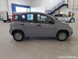 Fiat  Panda FIAT  / 2011 / 5P / BERLINA 1.2 69CV SeS E6D-TEMP EASY #7