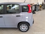  Fiat  Panda FIAT  / 2011 / 5P / BERLINA 1.2 69CV SeS E6D-TEMP EASY #51