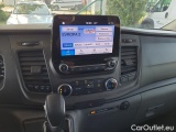  Ford  Transit  Custom (2013) Tr.C.2.0EBL 320 Trend L1 AT #8