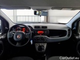  Fiat  Panda FIAT  / 2011 / 5P / BERLINA 1.0 FIREFLY 70CV SeS HYBRID #3