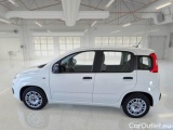  Fiat  Panda FIAT  / 2011 / 5P / BERLINA 1.0 FIREFLY 70CV SeS HYBRID #8