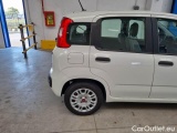  Fiat  Panda FIAT  / 2011 / 5P / BERLINA 1.0 FIREFLY 70CV SeS HYBRID #31