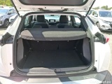  Peugeot  2008  Active Business 1.2 PureTech 130CV BVM6 E6d #8